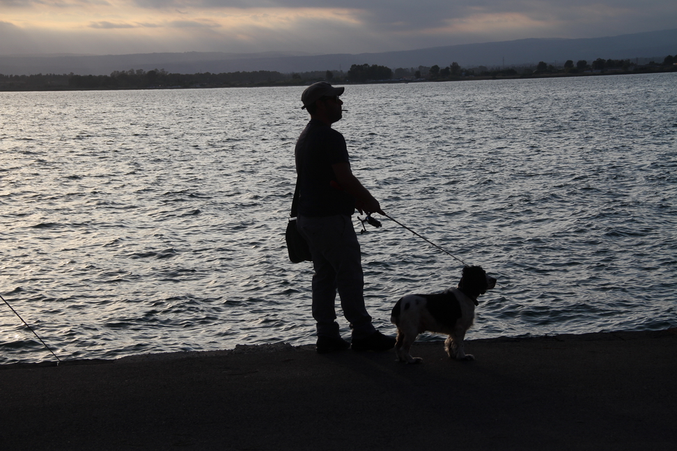 Sicilia_186.JPG - e pescatori... e cani sostano in attesa...