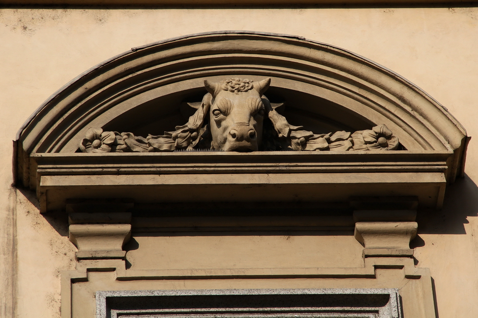 Nuvole_260.JPG - Torino - Via dell'Arsenale - Soprafinestra con figura bovina.