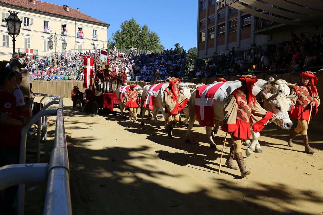 455.JPG - Lo segue il Carroccio