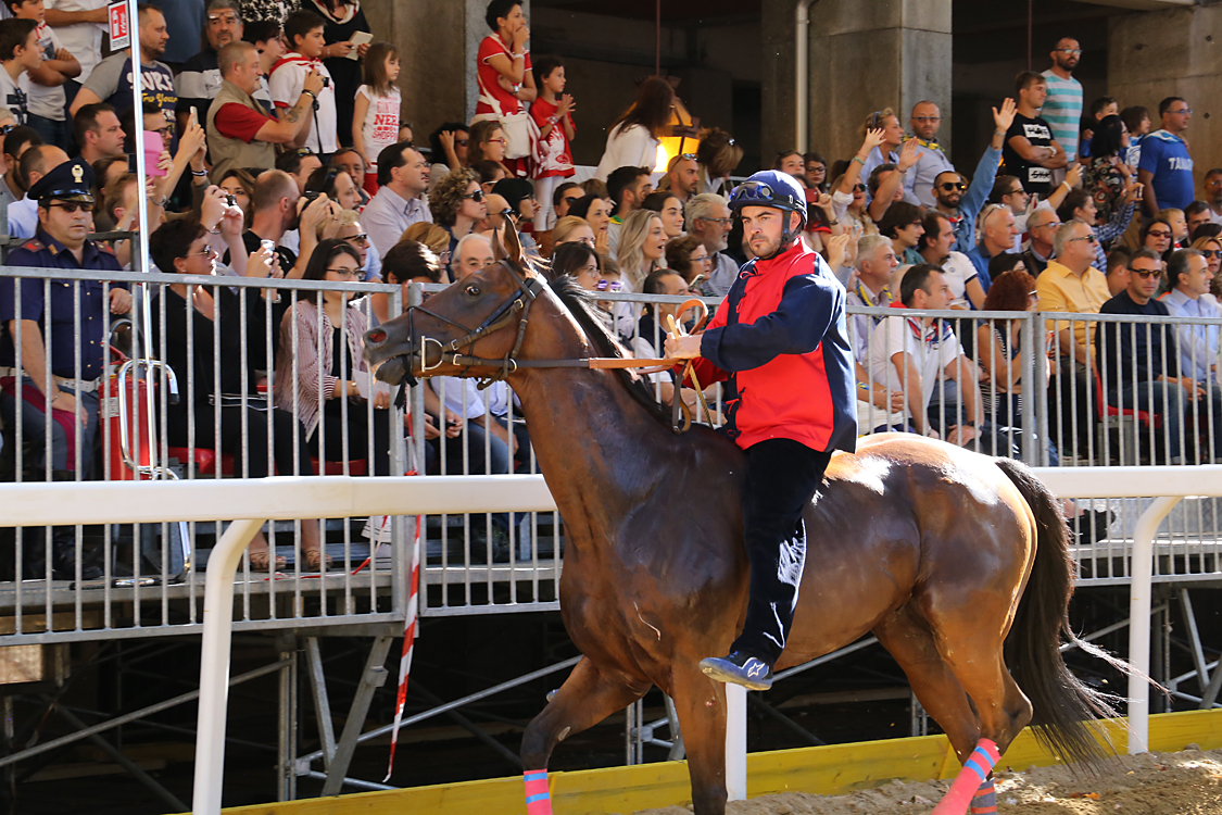 Palio2016_012.jpg