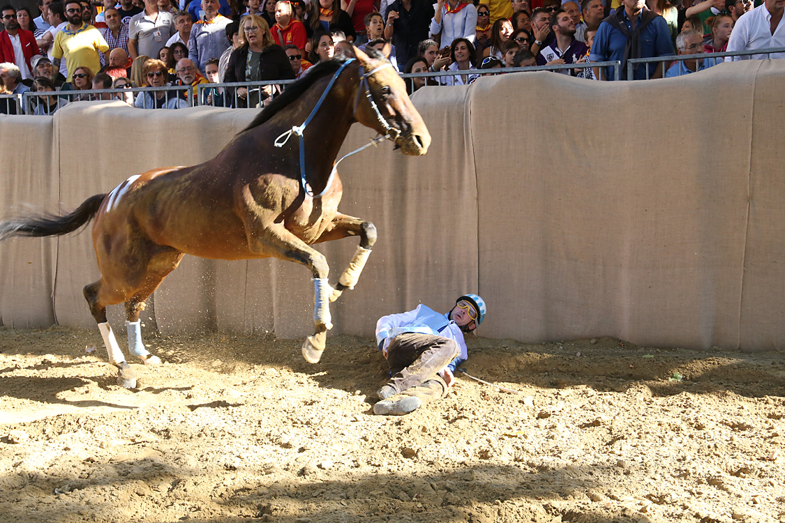 Palio2016_034.jpg