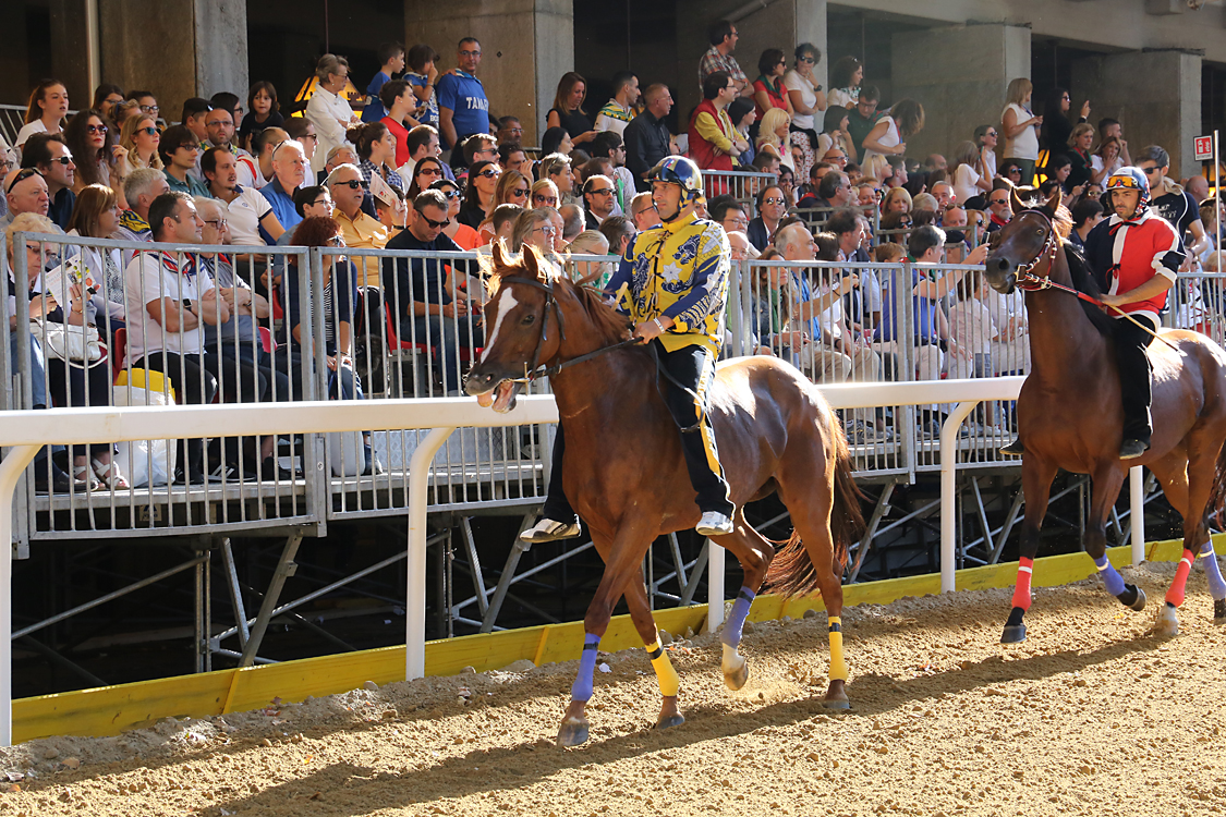 Palio2016_045.jpg