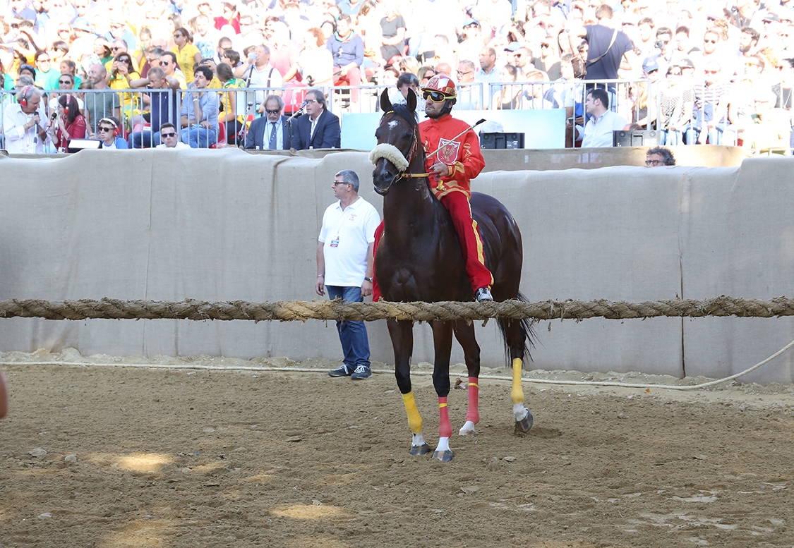 Palio2016_091.jpg