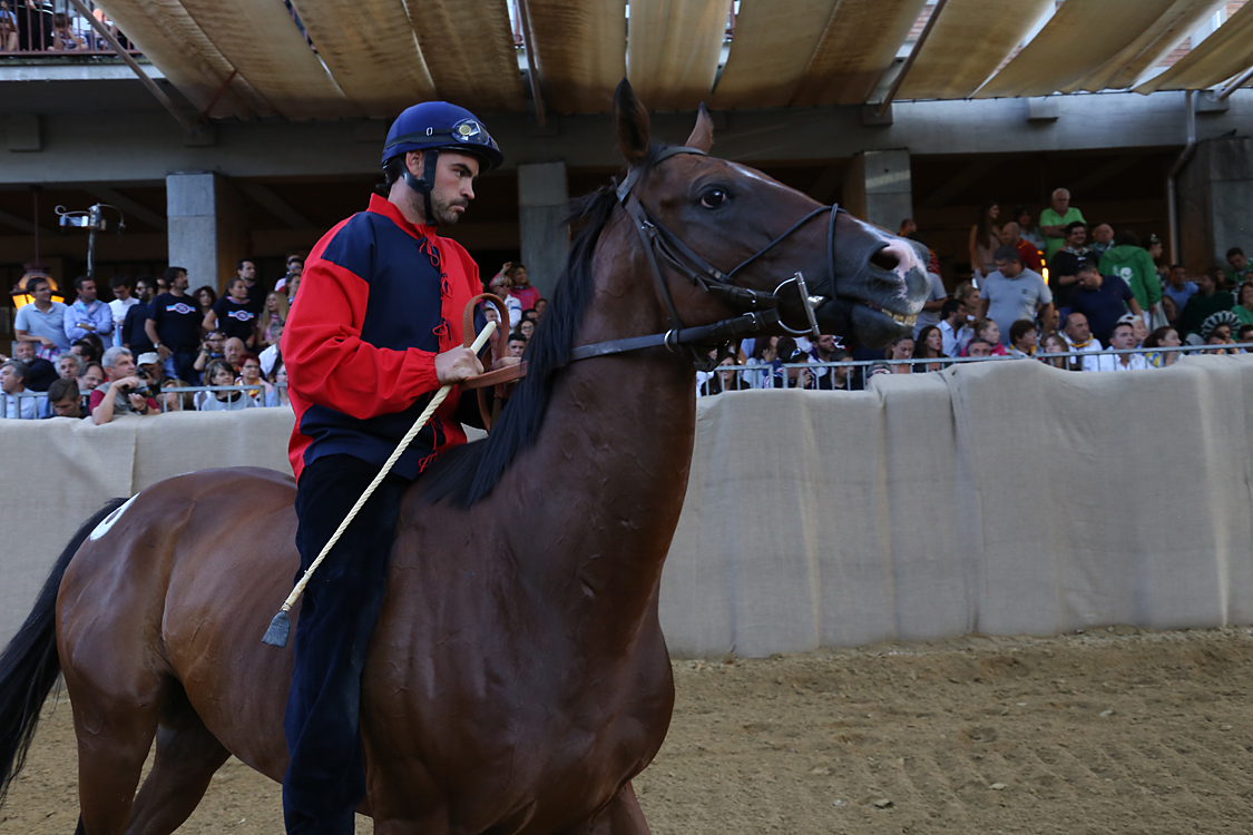 Palio2016_135.jpg