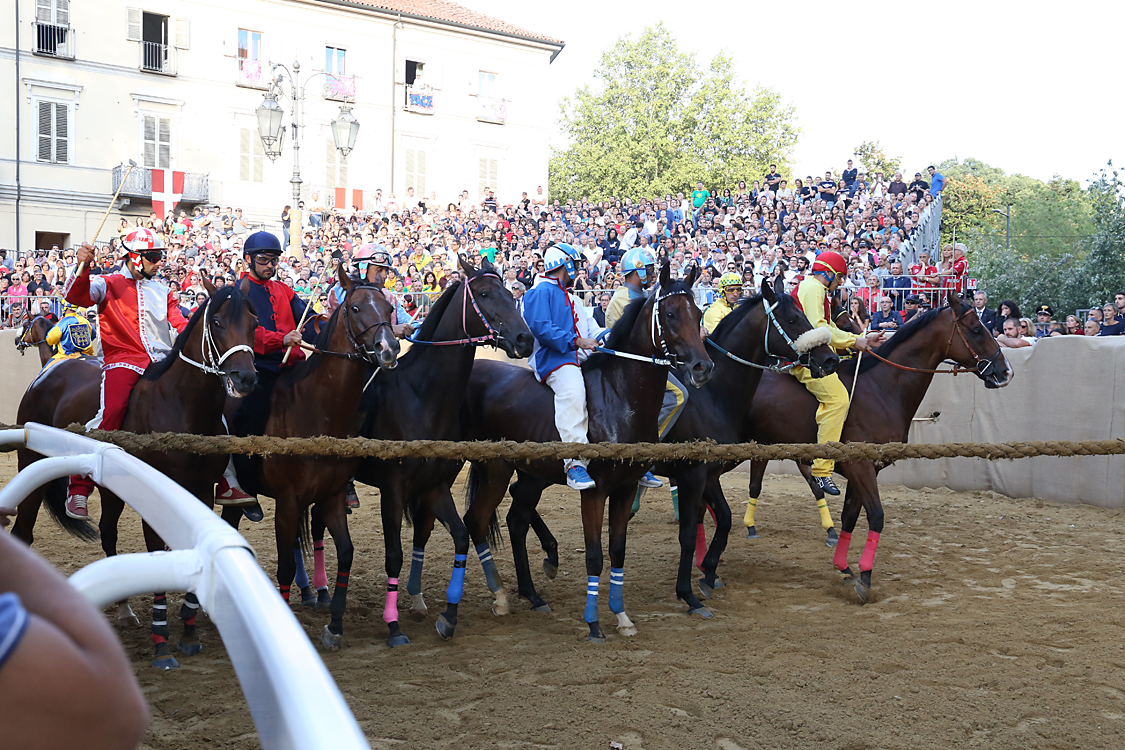 Palio2016_151.jpg