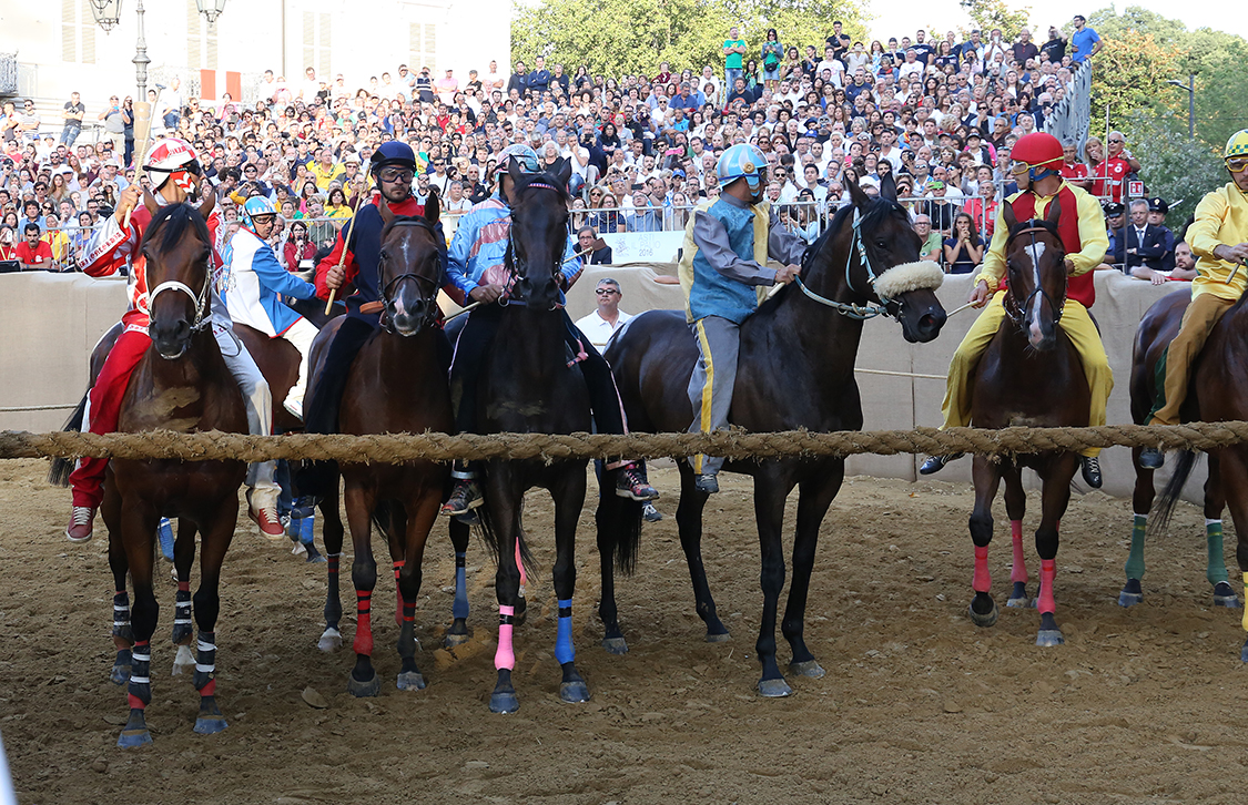 Palio2016_161.jpg