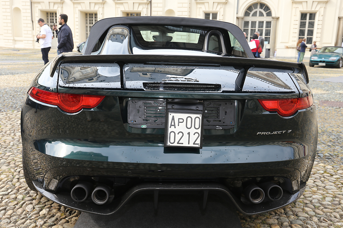 SaloneAutoParcoValentino_471.jpg