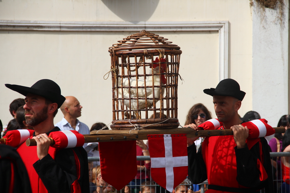 SfilataPalio_244.JPG - Quarto arrivato: Il gallo vivo