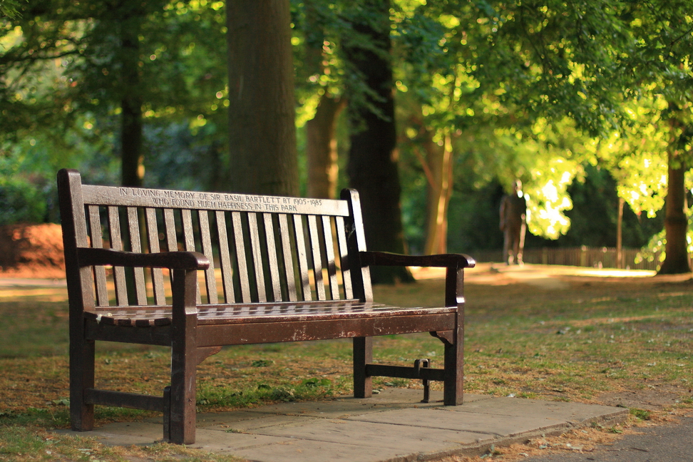 Скамейка в парке. Hyde Park лавочки. Скамейка в сквере. Лавочка в парке. Скамья в парке.