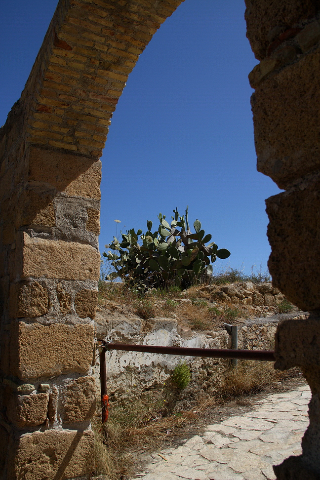 Sicilia_153.JPG - e poi si va oltre, alla base della salita che porta ai giardini pubblici un arco si apre quasi a rivelare, tra vegetazione spontanea in fiore...