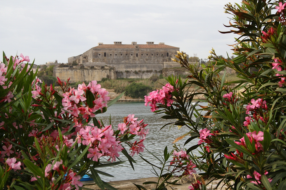 Sicilia_163.JPG - nel 1600 Augusta visse in pace e il castello fu ancora fortificato, avvenne anche il taglio dell'istmo e la città quindi passò a diventare l'isola che è attualmente...