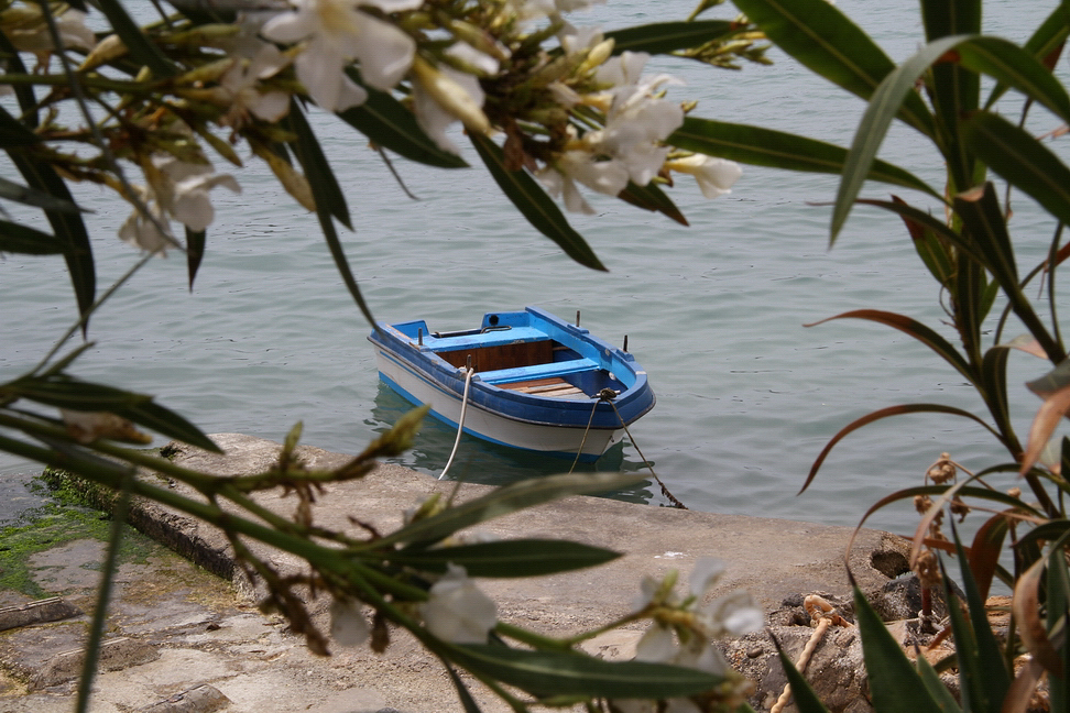 Sicilia_258.JPG - altre si nascondono...