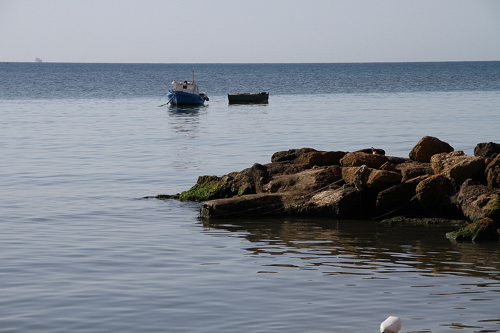 Sicilia_259.JPG - e vigilano dal largo sulla costa...