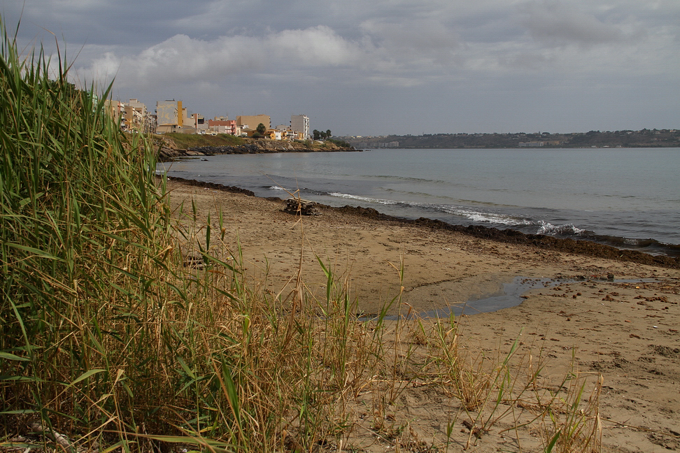 Sicilia_299.JPG - di verde dondolato dal vento...