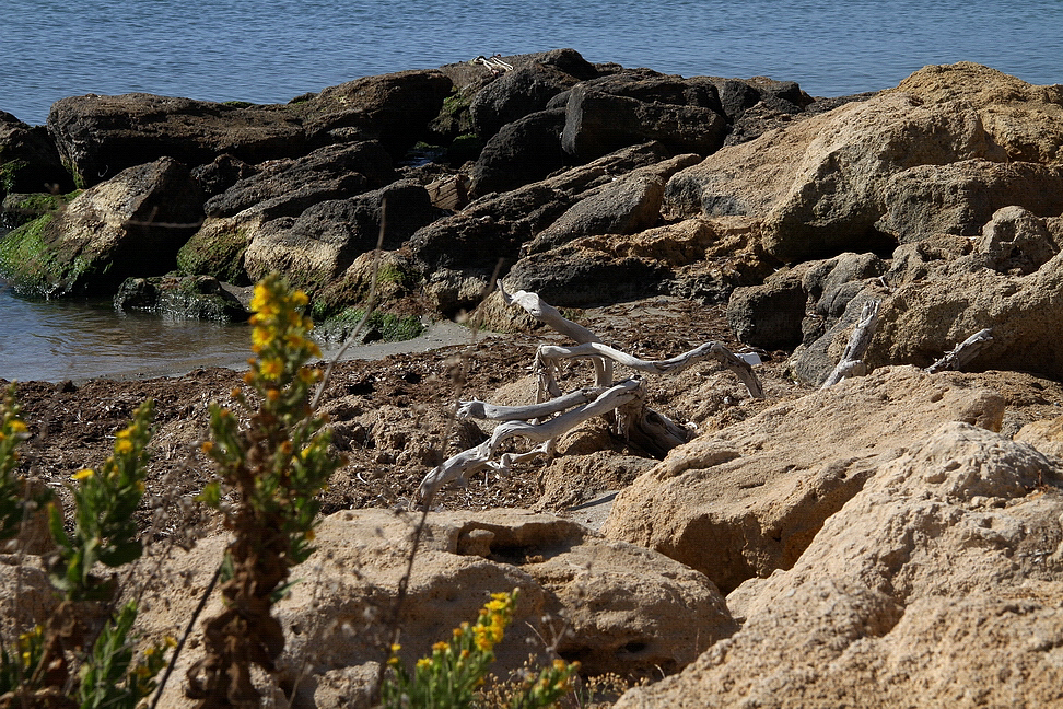 Sicilia_324.JPG - ma le onde lo scolpiscono...