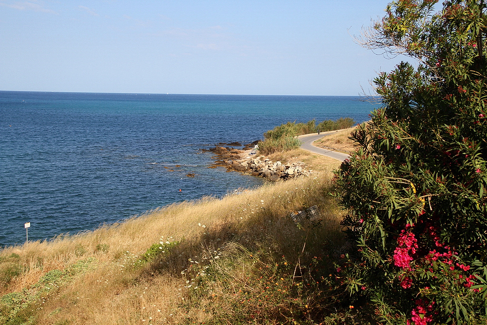 Sicilia_335.JPG - colorano le rive...