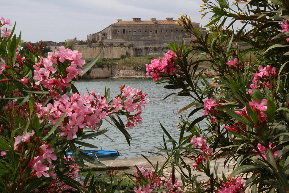 Sicilia_341.JPG - piante fiorite incorniciano i monumenti...