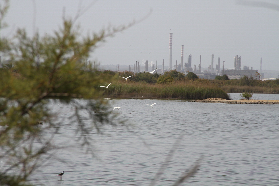 Sicilia_364.JPG - a lato si apre la riserva naturale Saline di Priolo, vasta area di sosta e nidificazione per svariate specie...