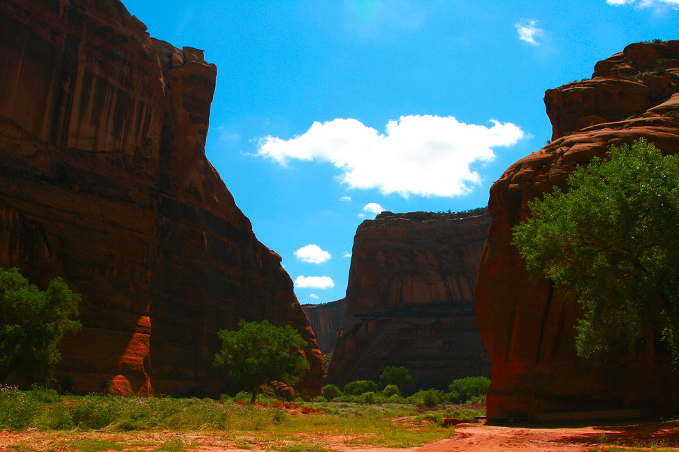 America_059.jpg - Il canyon de Chelly…antica dimora dei Navajos…(Kayenta, Arizona)