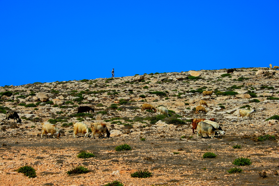 Lampedusa8.jpg